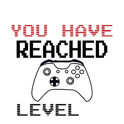 Personalised Birthday Gamer Gift - You Have Reached Level