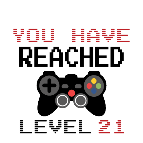 Personalised Birthday Gamer Gift - You Have Reached Level